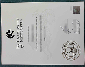 在纽卡斯尔大学读书，获得University of Newcastle diploma之外还留下了什么？